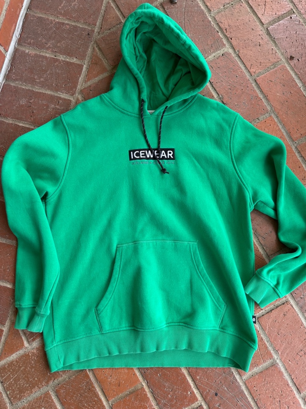 ICEWEAR sweatshirt/hoodie. Purchased in the country of Iceland